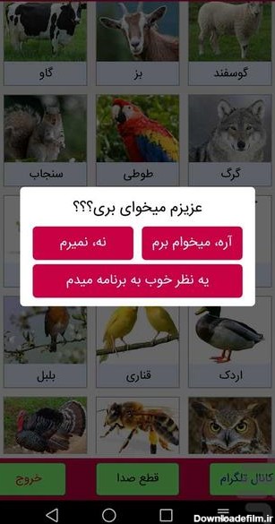 صدای حیوانات همراه با عکس