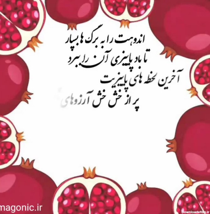 فیلم عکس شب یلدا