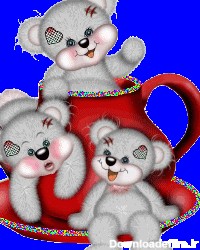 عکس خرس های کله فندقی خرس قطبی