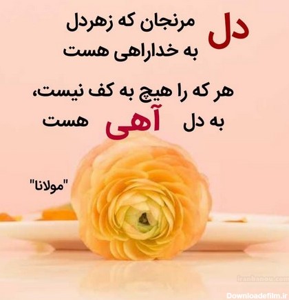 عکس نوشته ی تیکه دار به فامیل