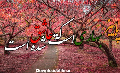 عکس طبیعت عاشقی