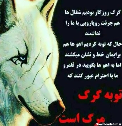 عکس نوشته گرگ برای پروفایل