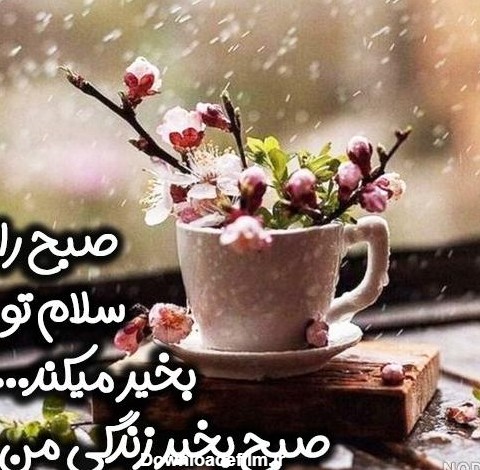 عکس صبح بخیر نفس