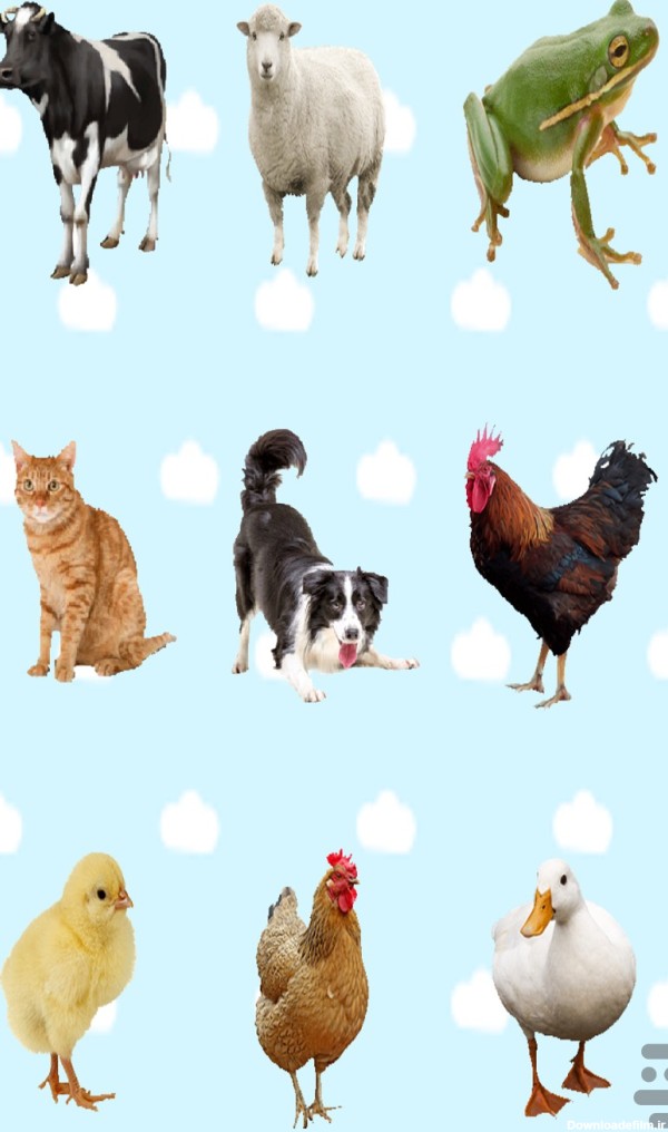 عکس حیوان های کودکانه