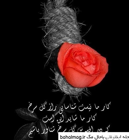 عکس نوشته غمگین گل