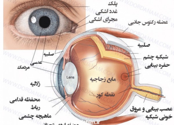 عکس ذره چشم