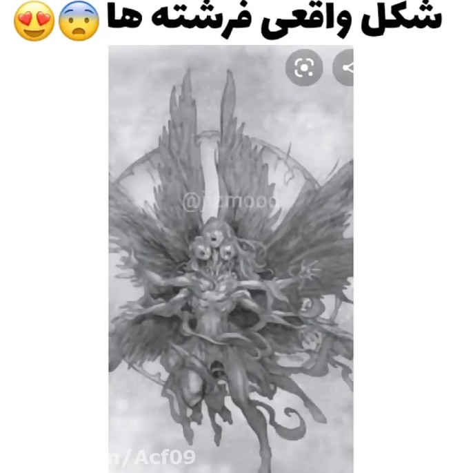 عکس واقعی فرشته ها