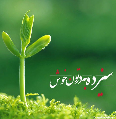 عکس نوشته زیبا سیزده به در