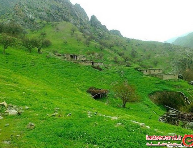 عکسهایی از طبیعت کرمانشاه