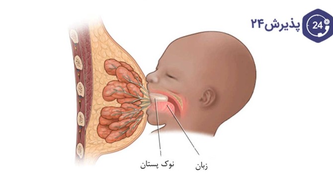 عکس شیر دادن مادر به نوزاد