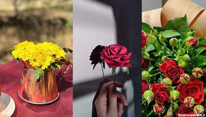 عکس گل فیک برای استوری