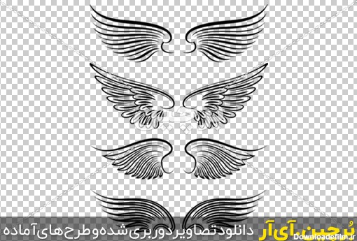 عکس از فرشته سیاه