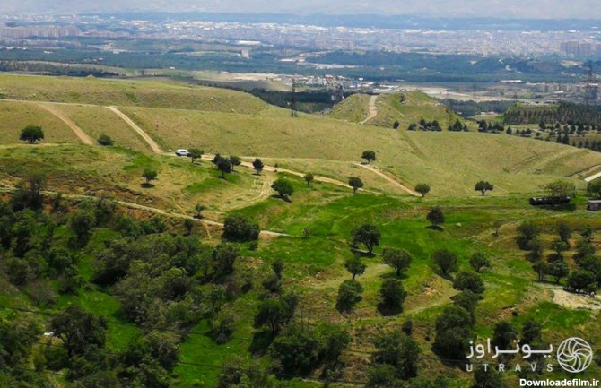 عکس جنگلی تهران