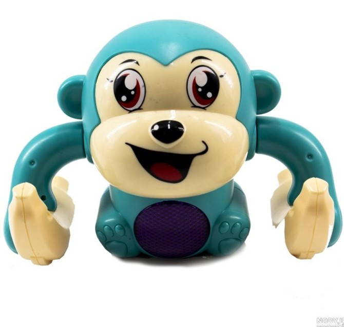 عکس میمون زن و شوهر