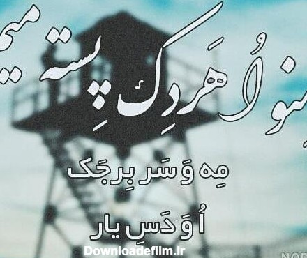 عکس لاتی کردی