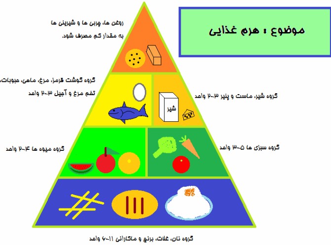 عکس هرم غذایی کاروفناوری