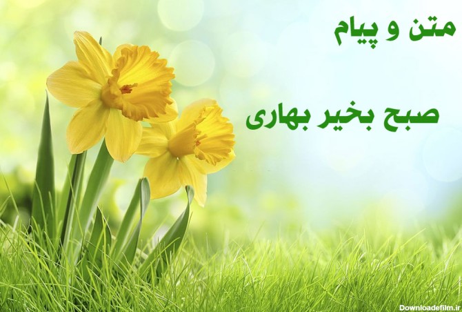 عکس صبح بهاری