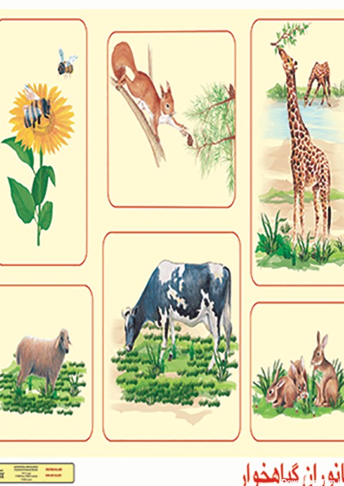 تصویر حیوانات گیاه خوار