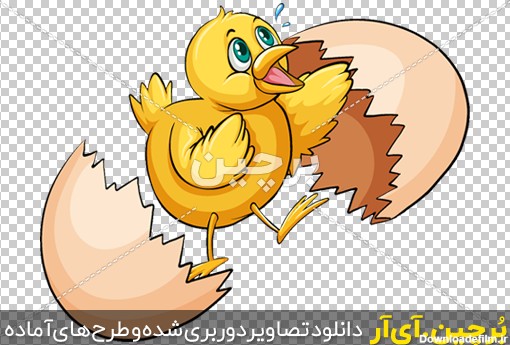 عکس فانتزی جوجه