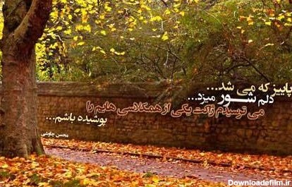 عکس پروفایل خاص بدون متن پاییزی