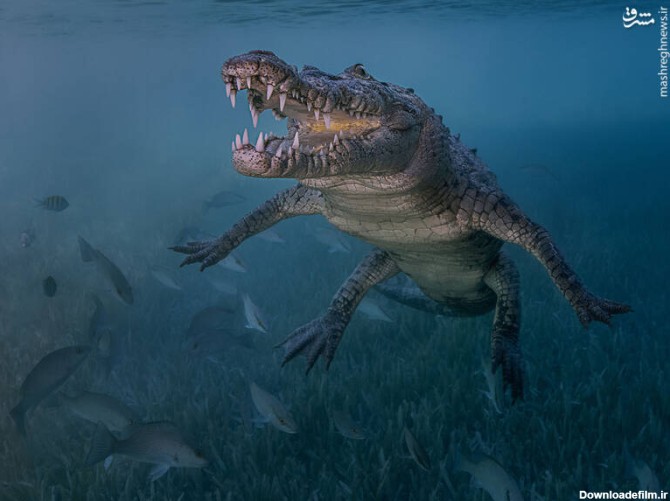 وسعت دریای خزر