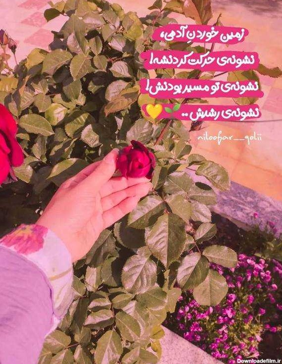 عکس برای پروفایل زنانه