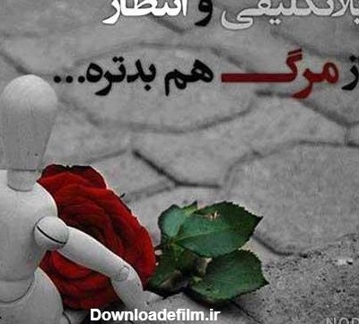 عکس انتظار عشق