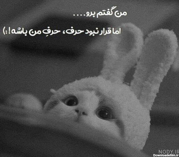 عکس پروفایل طوسی ساده