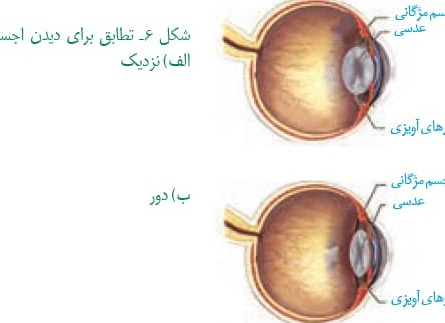 عکس کره چشم زیست یازدهم