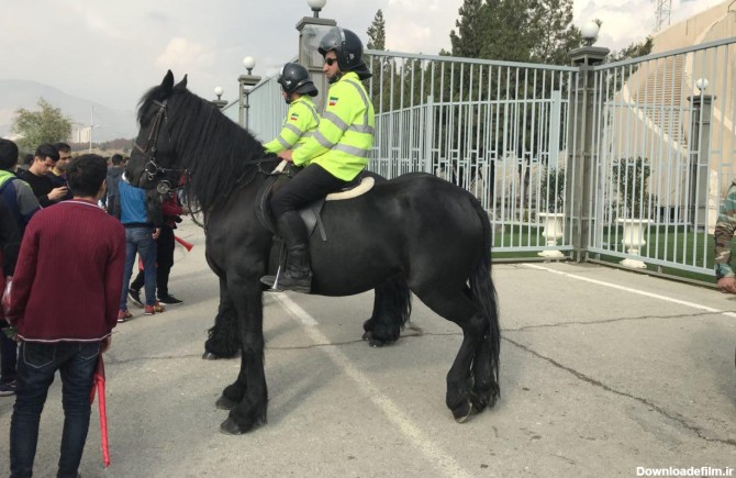 عکس پلیس اسب سوار ایران