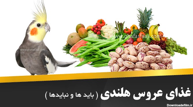 عکس غذایی عروس هلندی